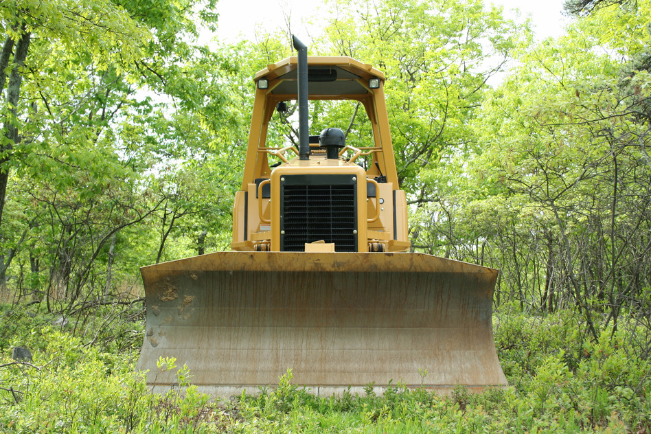 Lot and Land Clearing 1